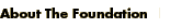 About the Foudation